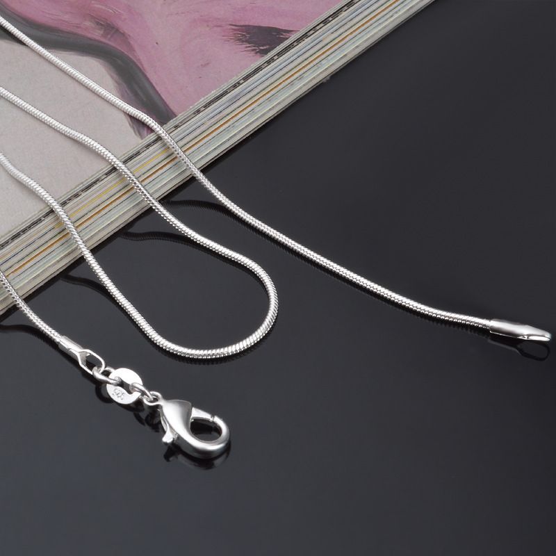 Kostenloser Versand! Großhande – Lobster Clasp Silver Bewertung und Preis